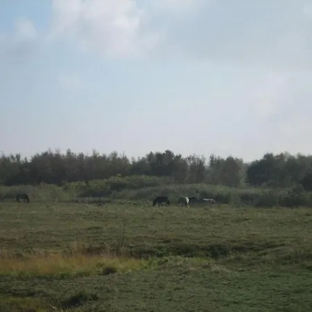 3 Kretschmann Comfortable גלטינג