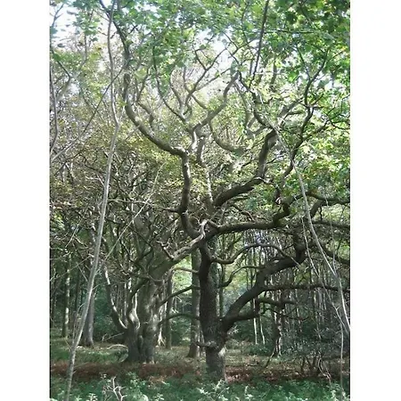 Nyaraló 3 Kretschmann Comfortable Gelting