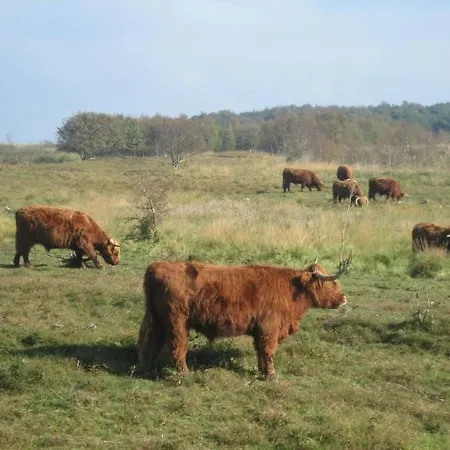 3 Kretschmann Comfortable Nyaraló