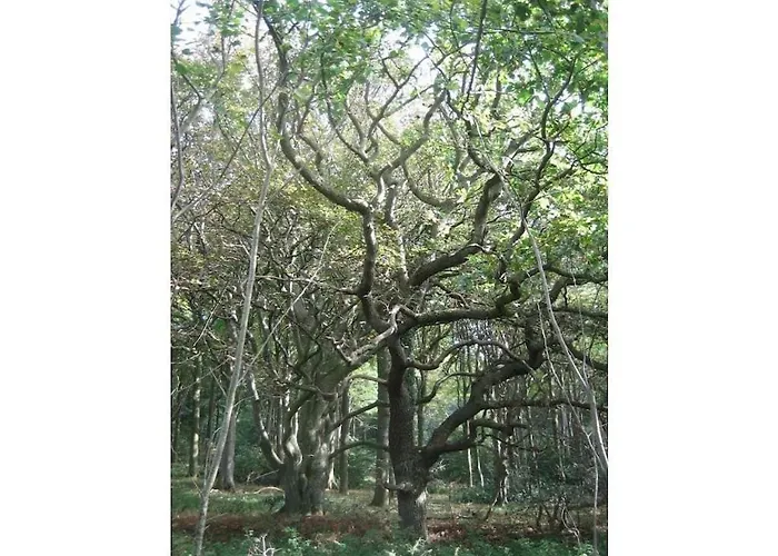 Feriehus 3 Kretschmann Comfortable Gelting