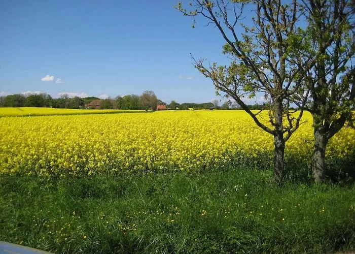 3 Kretschmann Comfortable Feriehus *